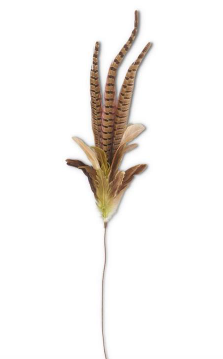 34 Inch Ring Neck Feather Spray w/Green Feathers