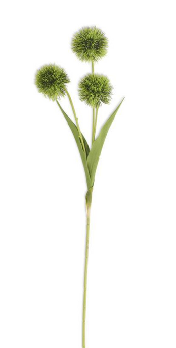 26 Inch Green Ball Flower Stem