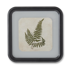 Load image into Gallery viewer, 11.75 Inch Square Black Wood Rounded Framed Fern Prints