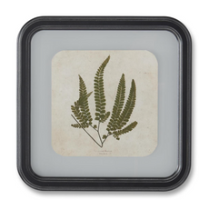 Load image into Gallery viewer, 11.75 Inch Square Black Wood Rounded Framed Fern Prints