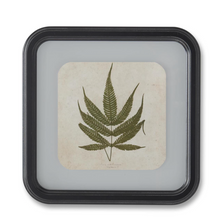 Load image into Gallery viewer, 11.75 Inch Square Black Wood Rounded Framed Fern Prints