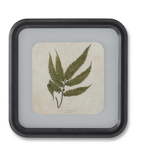 Load image into Gallery viewer, 11.75 Inch Square Black Wood Rounded Framed Fern Prints