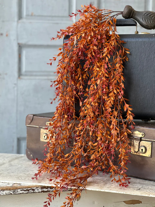 Ever Embers Hanging | 38