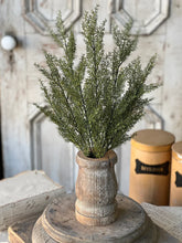 Load image into Gallery viewer, Whickham Wheat Bush | 19" | Moss |
