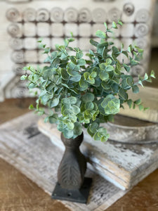 Greenbriar Eucalyptus Bush | 13.5"