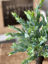 Load image into Gallery viewer, Rainwashed Bush | 14"