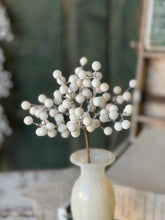 Load image into Gallery viewer, Icy Snowdrop Berry Pick | 12" |