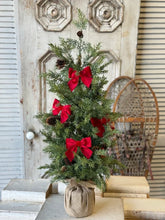 Load image into Gallery viewer, Bow Tied Boughs Bows | Box of 12