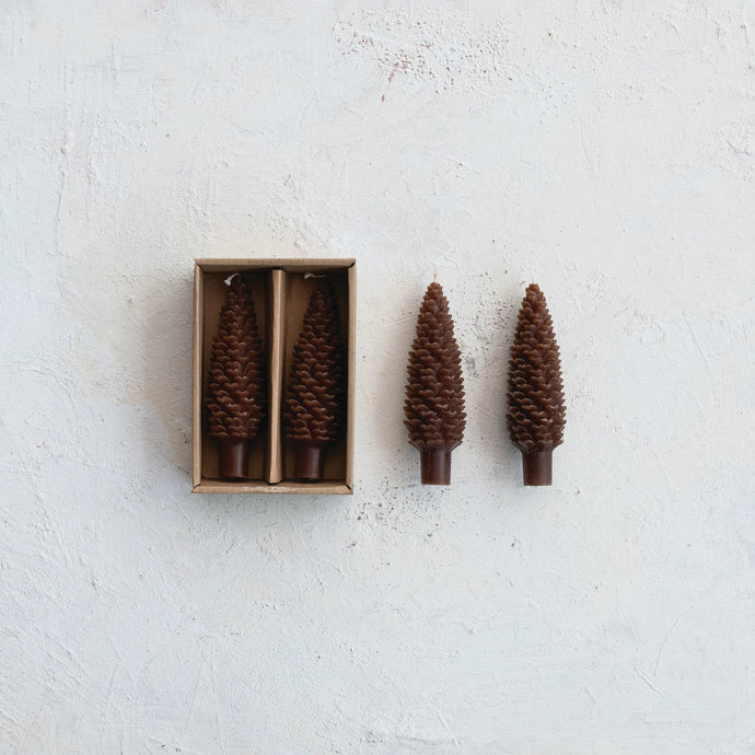 SM Unscented Pinecone Shaped Taper Candles in Box, Brown