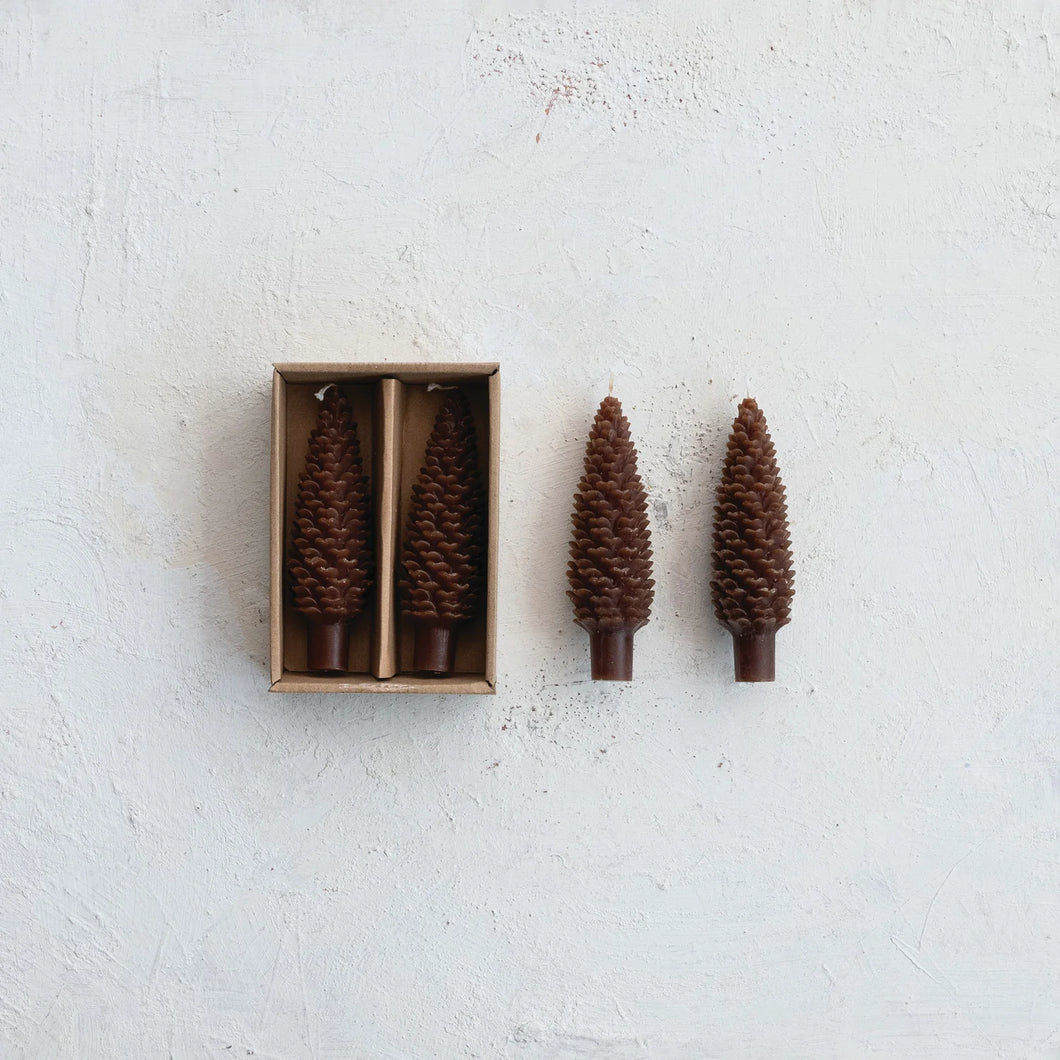 SM Unscented Pinecone Shaped Taper Candles in Box, Brown
