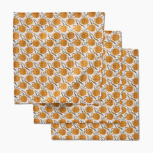 Load image into Gallery viewer, Hearth and Vine Dishcloth Set