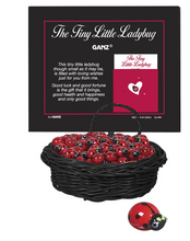 Load image into Gallery viewer, Tiny Little Ladybug Charms