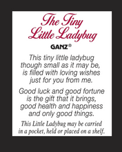 Load image into Gallery viewer, Tiny Little Ladybug Charms