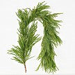 Load image into Gallery viewer, 6ft Full Garland-Soft Touch Norfolk Pine