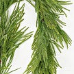 Load image into Gallery viewer, 6ft Full Garland-Soft Touch Norfolk Pine
