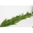 Load image into Gallery viewer, 6ft Full Garland-Soft Touch Norfolk Pine