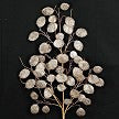 Load image into Gallery viewer, 26in Branch-Faux Lunaria silver dollars