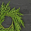 Load image into Gallery viewer, 3.5in(11)Ring-Soft Touch Evergreen Norfolk Pine
