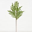 Load image into Gallery viewer, 5in Spray-Soft Touch Evergreen Norfolk Pine