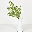 Load image into Gallery viewer, 5in Spray-Soft Touch Evergreen Norfolk Pine