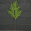 Load image into Gallery viewer, 5in Spray-Soft Touch Evergreen Norfolk Pine