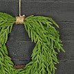 Load image into Gallery viewer, 24inW Heart Twig Wreath-Soft Touch Evergreen Norfolk Pine