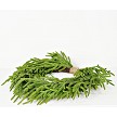 Load image into Gallery viewer, 24inW Heart Twig Wreath-Soft Touch Evergreen Norfolk Pine