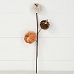 Load image into Gallery viewer, 15in Pick-Velvet gold stem mini pumpkins